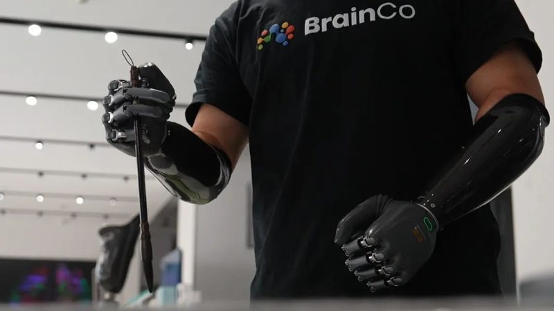 学校信息化平台定制开发：构建智慧校园的关键一步